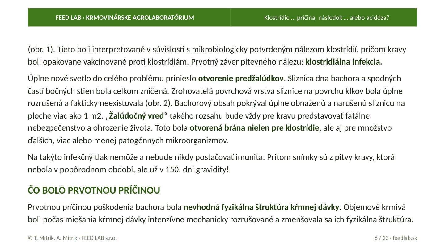 Klostrídie … príčina, následok … alebo acidóza? – strana 6