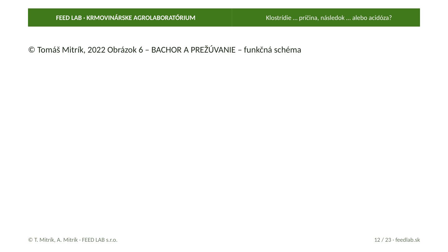 Klostrídie … príčina, následok … alebo acidóza? – strana 12