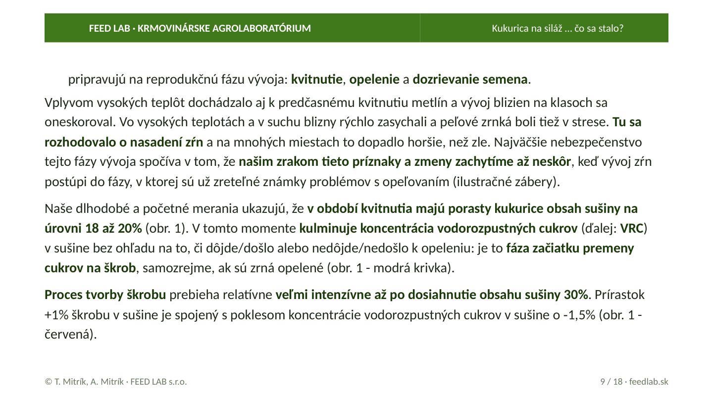 Kukurica na siláž … čo sa stalo? – strana 9