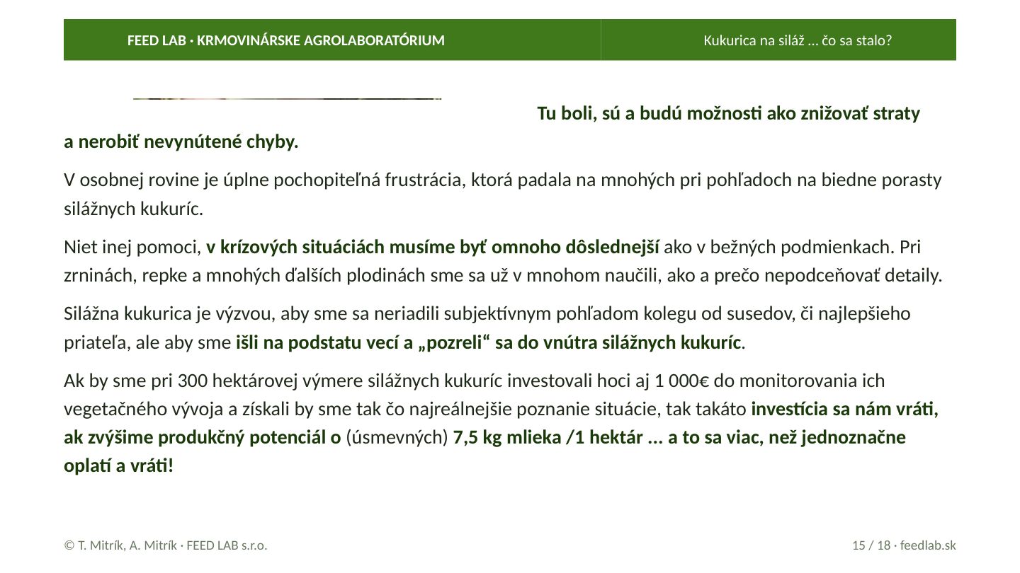 Kukurica na siláž … čo sa stalo? – strana 15