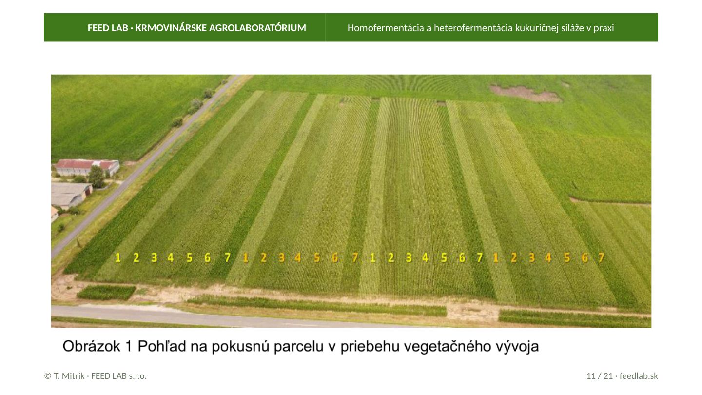 Homofermentácia a heterofermentácia kukuričnej siláže v praxi – strana 11