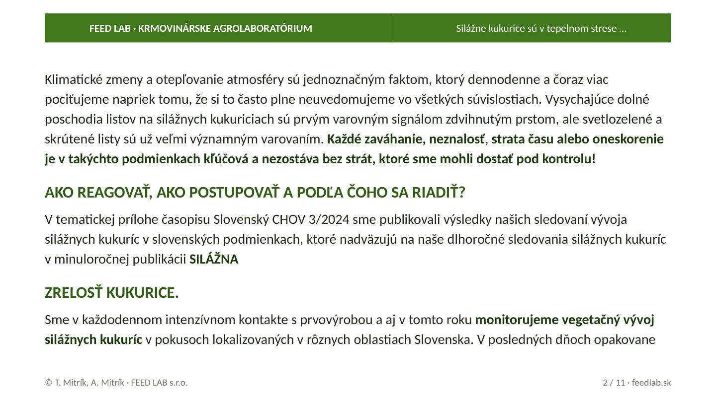 Silážne kukurice sú v tepelnom strese … – strana 2