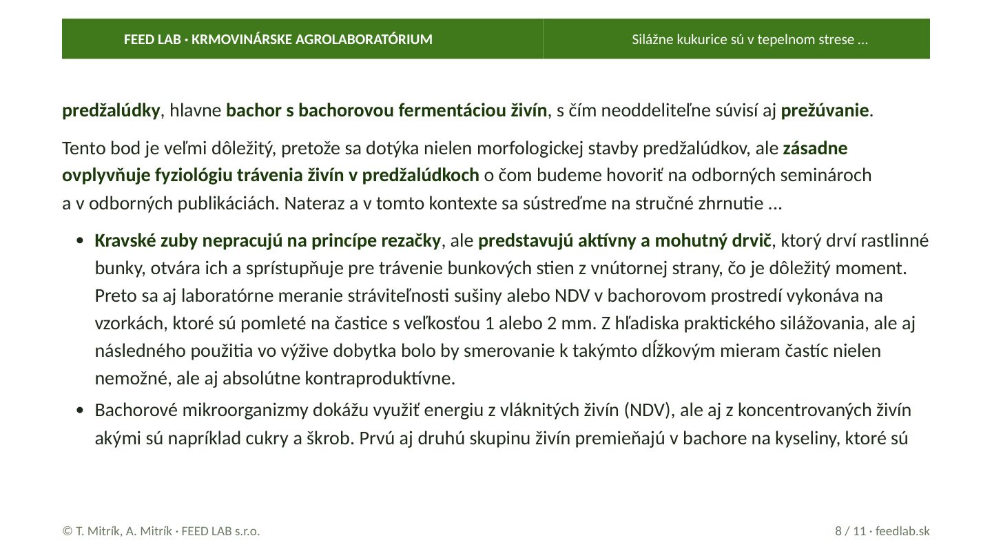 Silážne kukurice sú v tepelnom strese … – strana 8